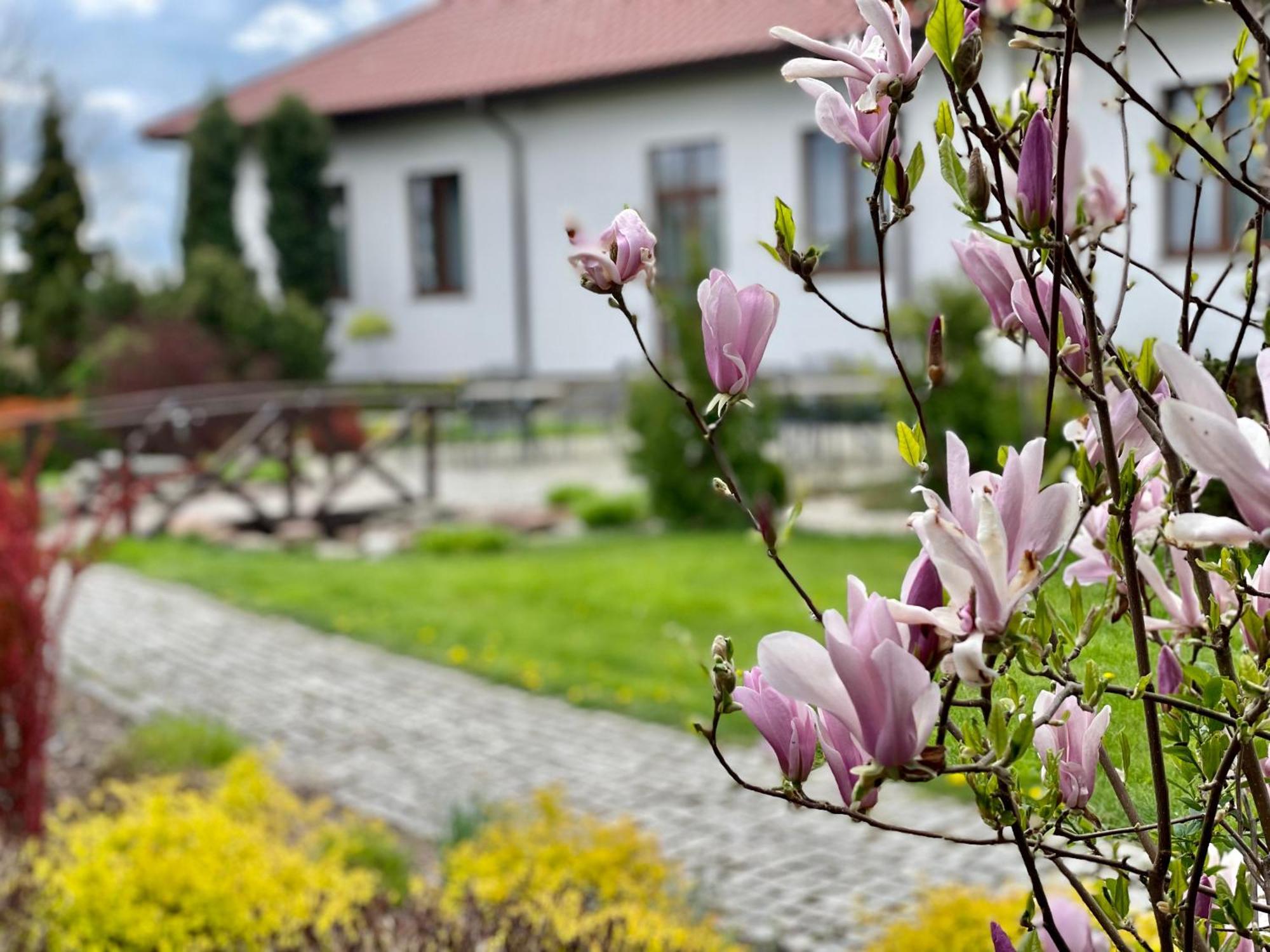Bed and Breakfast Gosciniec "Nad Warta" Uniejów Exterior foto